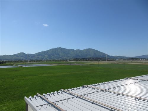 弥彦山